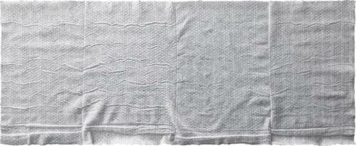 全身ふける十分な大きさ ダイソー「大判ウェットタオル」 イメージ2