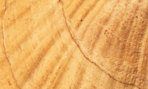 ホワイトニング前 ホワイトニングジェルおすすめ イメージ