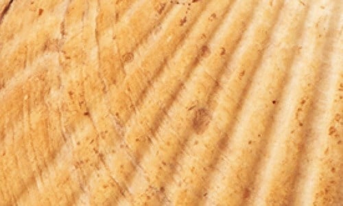 ホワイトニング前 ホワイトニングジェルおすすめ イメージ