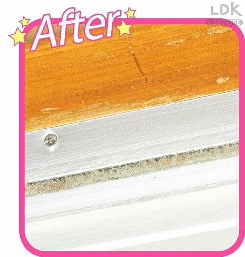 AFTER：本来の真っ白なフサフサの毛が出現 イメージ