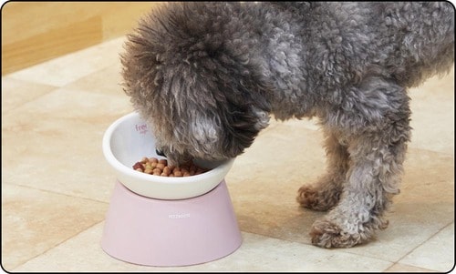 お皿の角度を調節できるのが良い! 犬用食器おすすめ イメージ