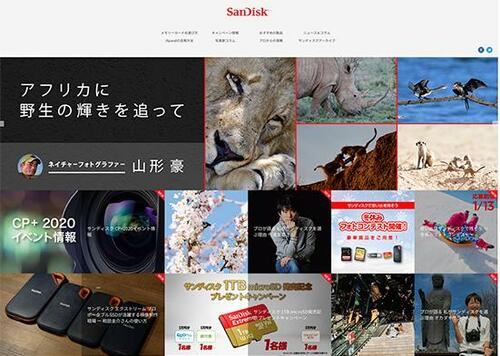 【おすすめメーカー1】SanDisk イメージ