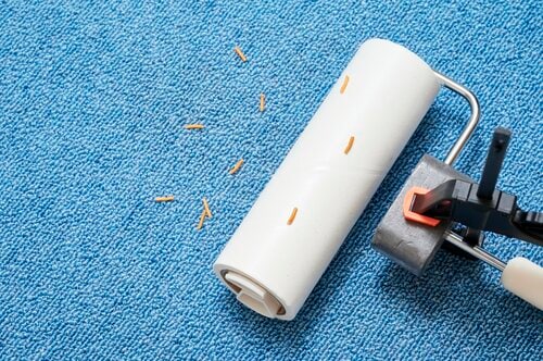 めくるのはスムーズ。しかし、持続力はあまりない 粘着クリーナーおすすめ イメージ