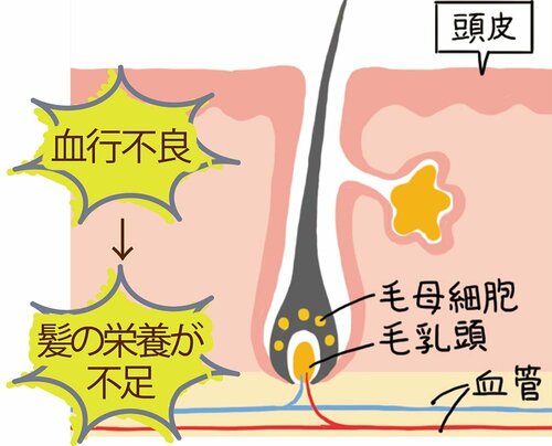 頭皮ケアは20代から始めるのが理想 頭皮ケアローションおすすめ イメージ