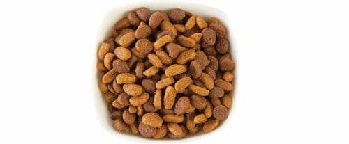 【69点】原材料は高品質「質」はハイレベルのフード イメージ