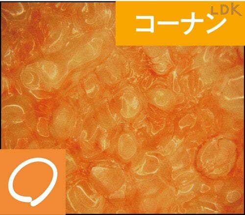 断面をマイクロスコープで撮影 包丁おすすめ イメージ2