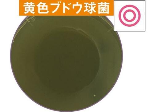 2つの菌に効果アリ合格ラインの“B評価”3製品! イメージ