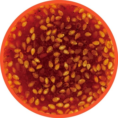 焼肉のたれおすすめ 麻生醤油醸造場 〈木樽仕込み天然醸造醤油使用〉焼肉のたれ イメージ2