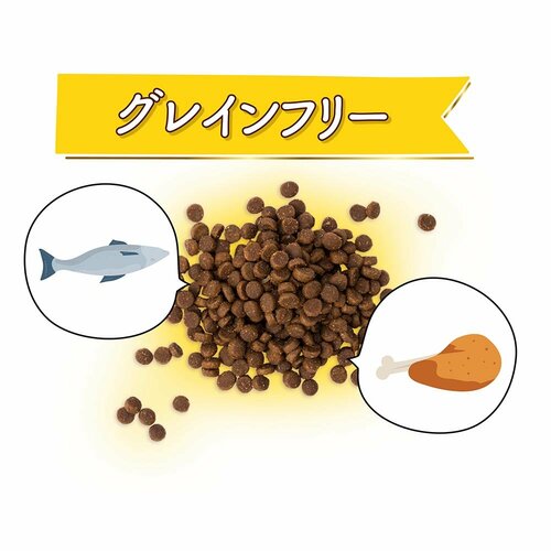 グレインフリーキャットフードとは？ グレインフリーキャットフードおすすめ イメージ