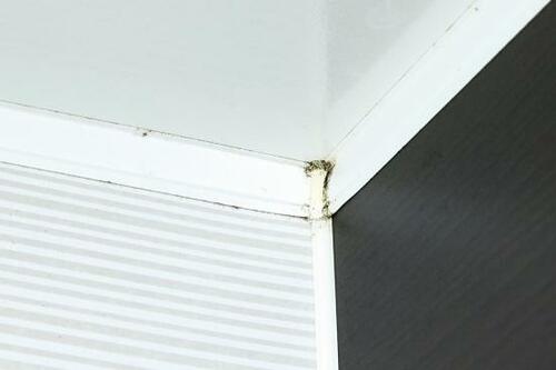 手が届かない！お風呂天井のカビを落とす方法 イメージ