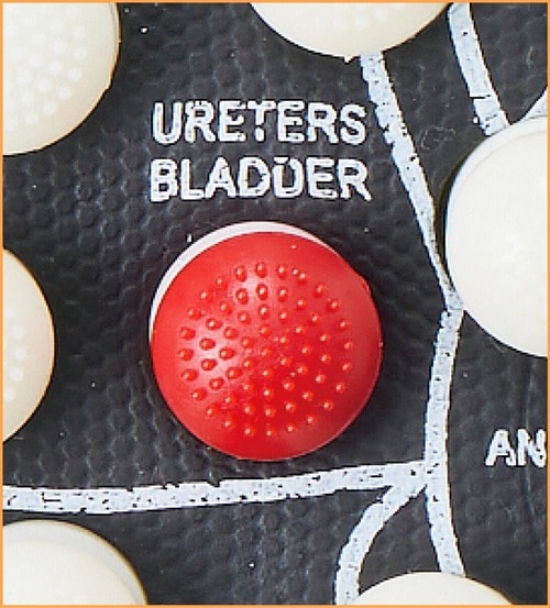 ピンが可動して程よい刺激に！ 健康スリッパおすすめ イメージ2