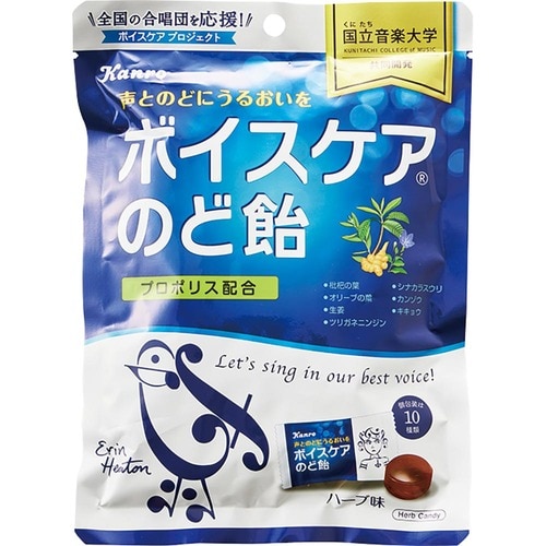 のど飴おすすめ カンロ ボイスケアのど飴 イメージ1