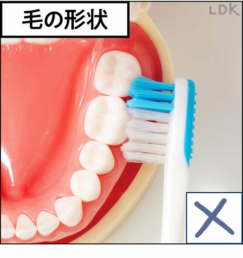 毛の形状 歯ブラシおすすめ イメージ