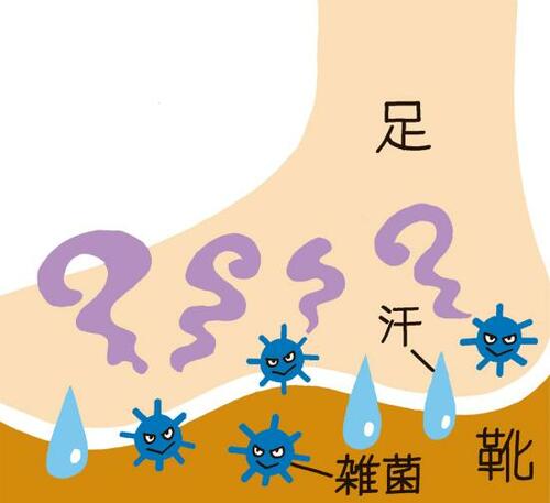 靴の臭いの原因は繁殖した雑菌
