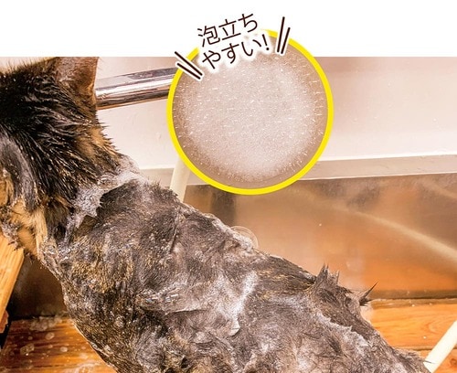 スピーディに洗える 猫用シャンプーおすすめ イメージ