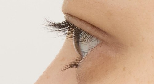 平行二重 ビューラーおすすめ イメージ