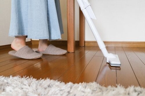 軽々使えて吸引力もバツグンな掃除機はどれ? イメージ