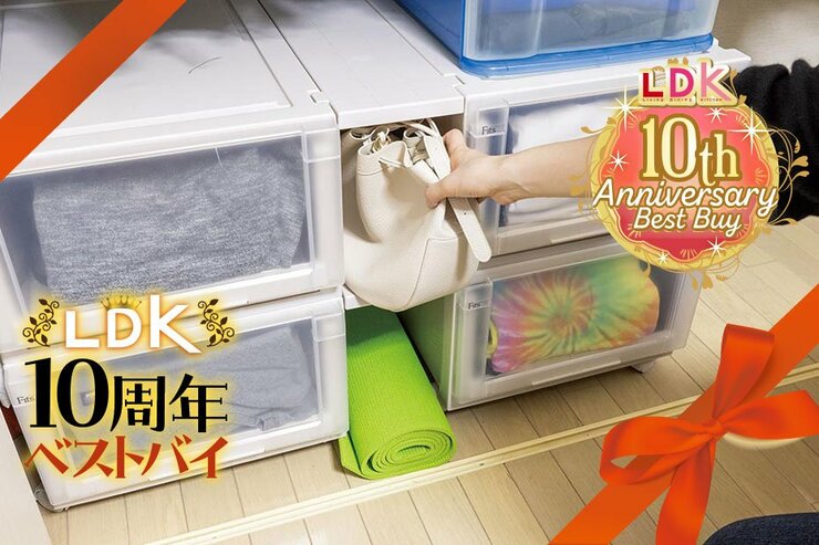 LDKが選ぶ最強のクローゼット収納グッズおすすめ8選。すき間を埋める天馬の神アイテムを紹介