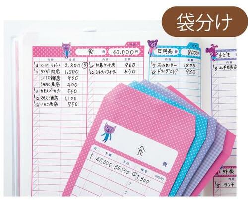 変わりダネタイプ:家計管理がしやすい工夫がある