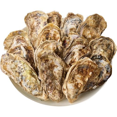 MONOQLO 2025ベストバイおすすめ 厚岸漁業協同組合直売店 エーウロコ 厚岸産 殻かき 15個セット イメージ1