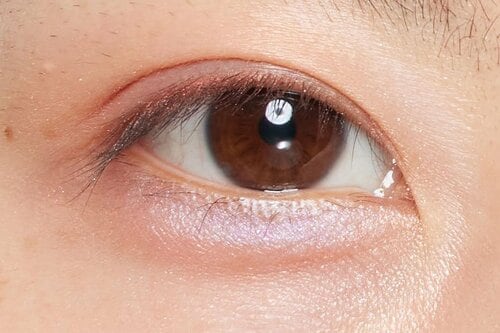 使ったのはココ! 春コスメ速報2025おすすめ イメージ2