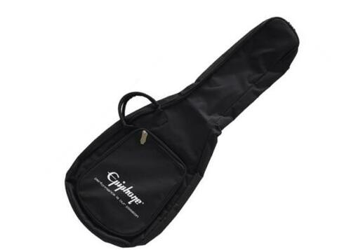必要になるモノが揃っているイケベ楽器「Epiphone」