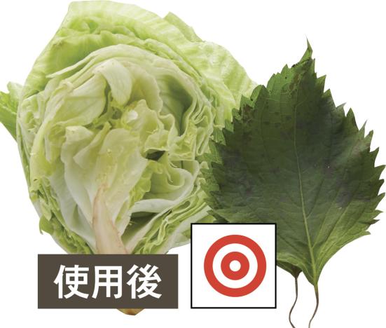 テストでは10日後もOK野菜が長持ちするたまごです
