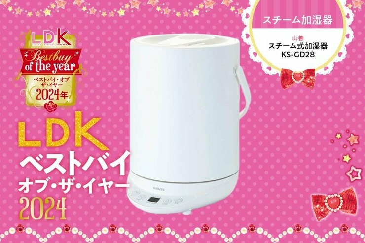 加湿器は“手入れがラク”で選ぶべし！ 山善のスチーム式加湿器ならシンプル&高性能【LDKベストバイ2024】