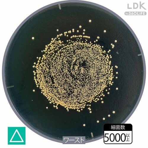 5000個以上の黄色ブドウ球菌をしっかり除菌! LDKベストバイ泡ハンドソープおすすめ イメージ3