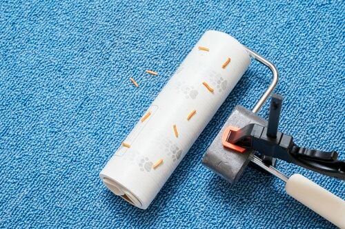足あと印刷がかわいいけど、めくる時に途中でちぎれてしまう 粘着クリーナーおすすめ イメージ