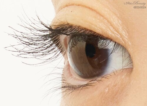 仕上がり マスカラおすすめ イメージ