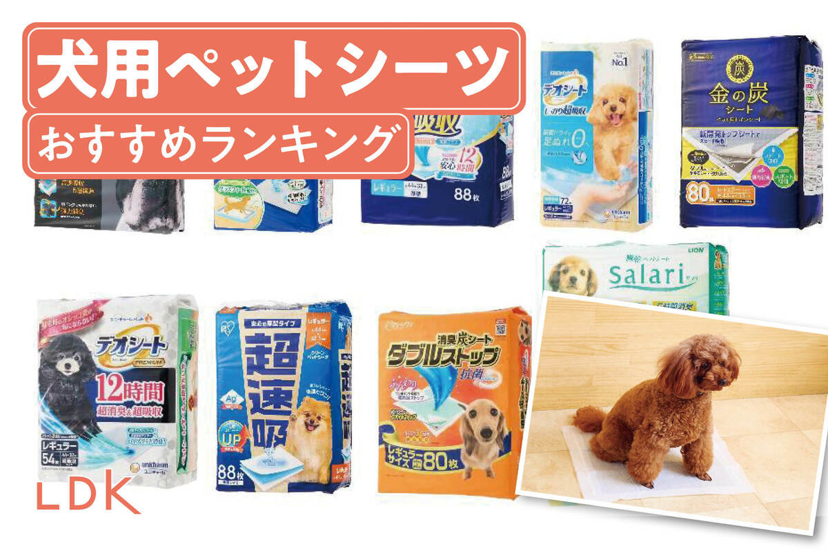 新品ケース 江戸の鷹 御用部屋犯科帖 全10巻 三船敏郎 田中健 田中邦衛