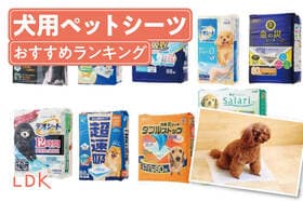 犬用ペットシーツのおすすめランキング。LDKがホームセンターなどで買える人気商品を比較