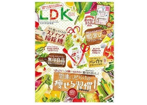 『LDK』2021年6月号 イメージ