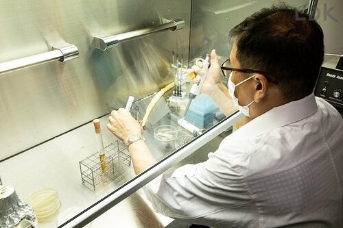 テスト1:除菌特性 ハンドソープおすすめ イメージ
