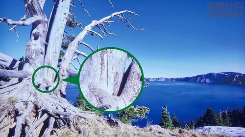 BRAVIA 5(XR50シリーズ) 家電批評ベストバイオブザイヤーおすすめ イメージ