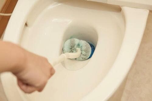 掃除ワザ2：トイレのサボったリングには洗剤パック イメージ