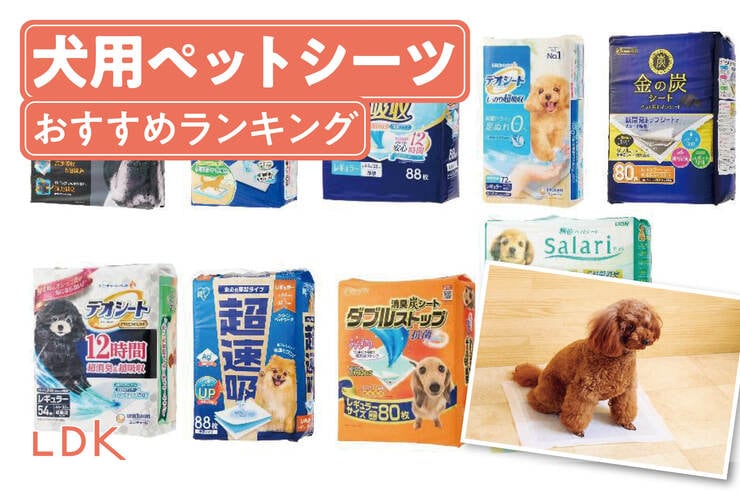 犬用ペットシーツのおすすめランキング。LDKがホームセンターなどで買える人気商品を比較