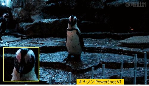 【高感度性能:優秀】薄暗いシーンでもキレイに撮れる キヤノン「PowerShot V1」の実機検証(hands-on-review)の写真おすすめ イメージ2