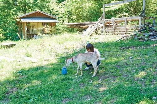 都会では味わえない貴重なアクティビティ