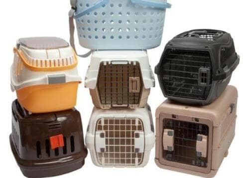 テストでわかった！ 最強のネコ用品 イメージ