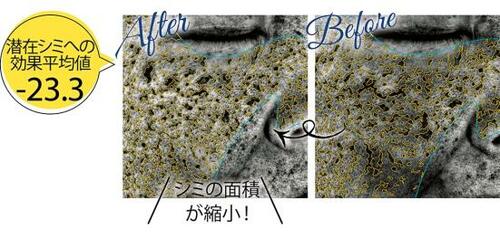 ベストのワケ:たった1カ月の使用で潜在シミへの効果が! イメージ