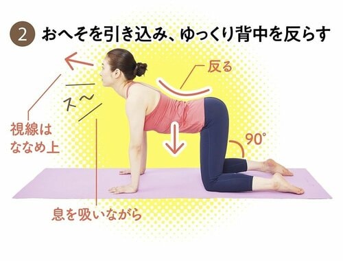STEP2:おへそを引き込み、ゆっくり背中を反らす ガードルおすすめ イメージ