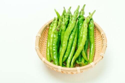 よっちゃん農場で生き続ける“よっちゃん”の味 イメージ