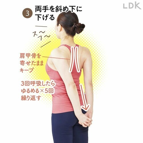 3:両手を斜め下に下げる 初心者向けストレッチ用ポールおすすめ イメージ