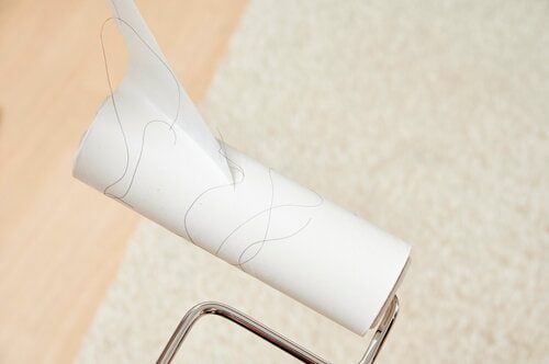 持続力があまりないのがもったいない 粘着クリーナーおすすめ イメージ2