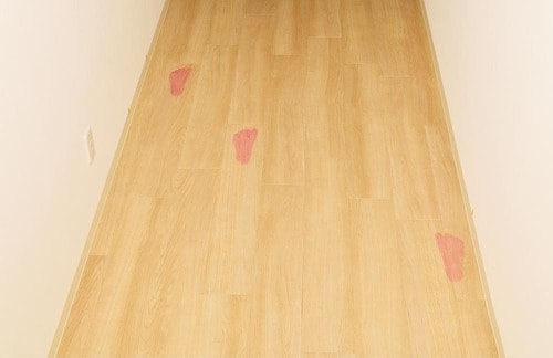 Before：真ん中の足跡はほぼ落とした！ ロボット掃除機おすすめ イメージ