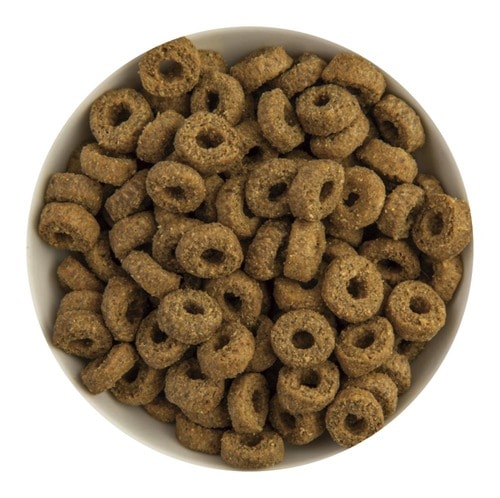 ドッグフードおすすめ イースター プロステージ フォーミュラ サーモン アダルト イメージ2