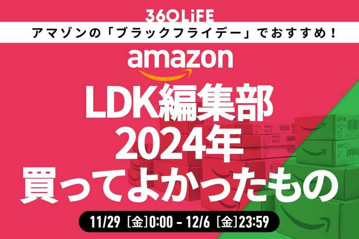 【ブラックフライデー】「LDK」編集部員が2024年買ってよかったアイテムがコレ！