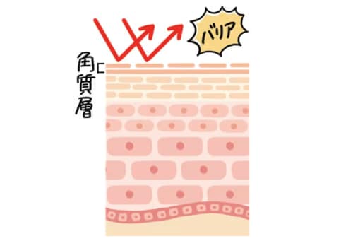 そもそも角質とは？ ボディスクラブおすすめ イメージ